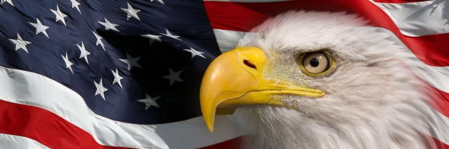 sidneybarrett's profile banner image