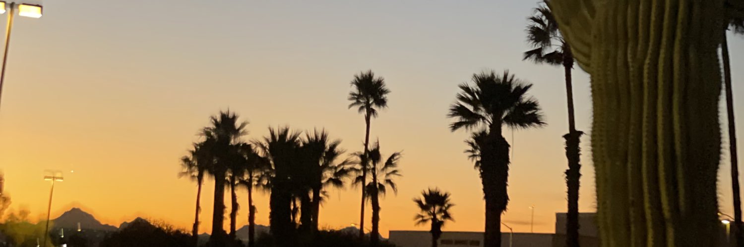 Rxvchiee's profile banner image