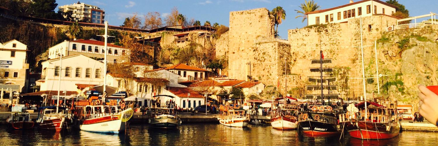 Selin Erdogan banner