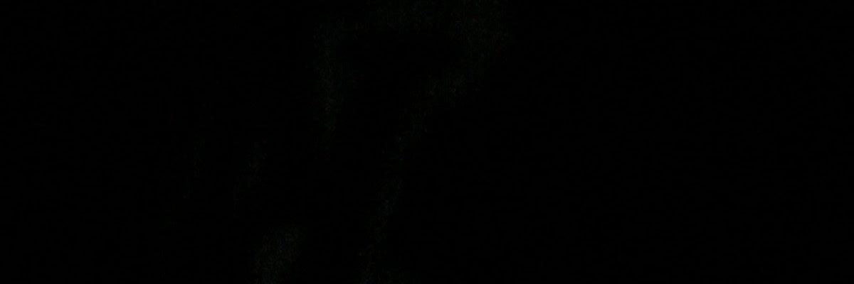 ScreamingFuxk's profile banner image