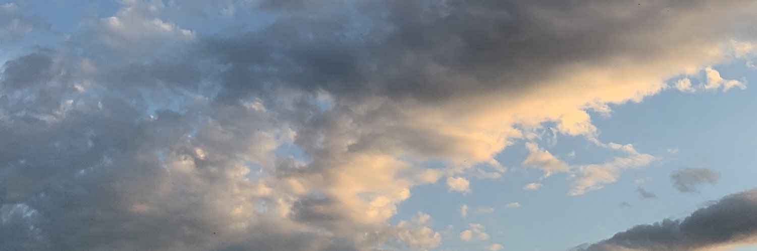 mayamcmillann's profile banner image