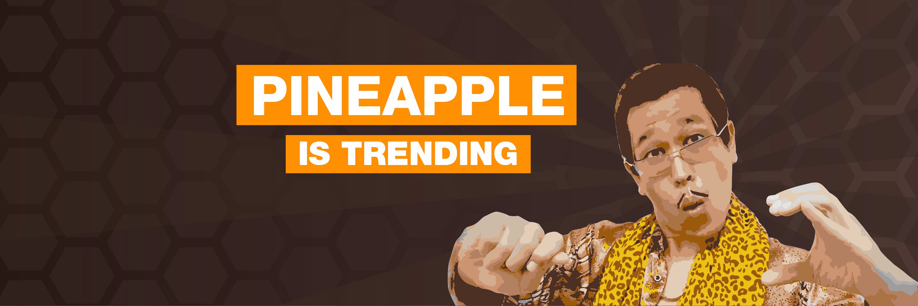 pineappletalkie's profile banner image