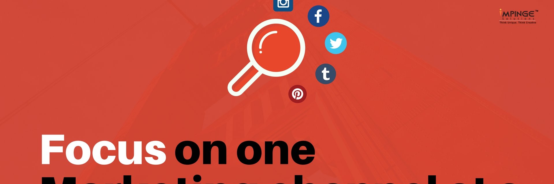 wpprofession's profile banner image