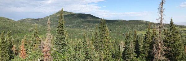 dustfink Profile Banner