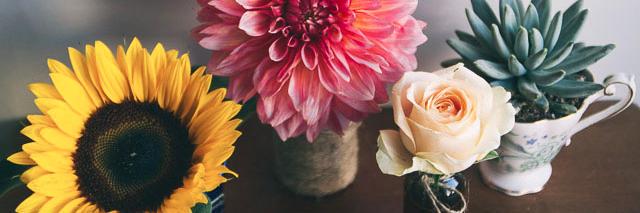 thecaffeina's profile banner image