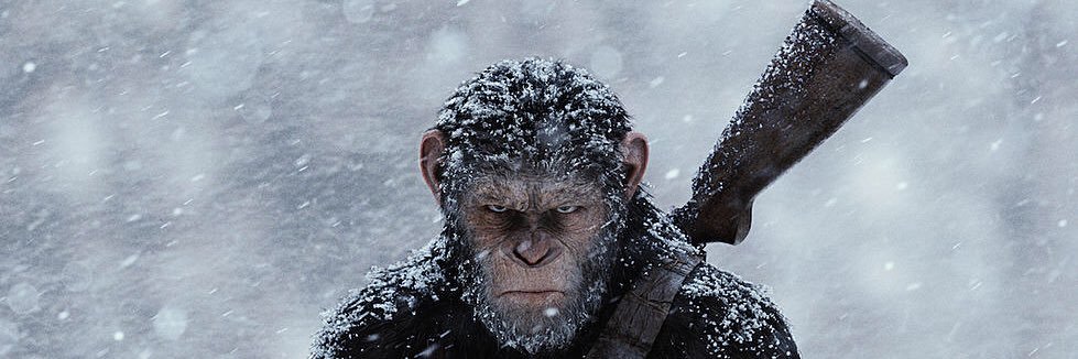 Dylan_robinson9's profile banner image