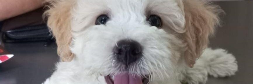LZuleta_'s profile banner image