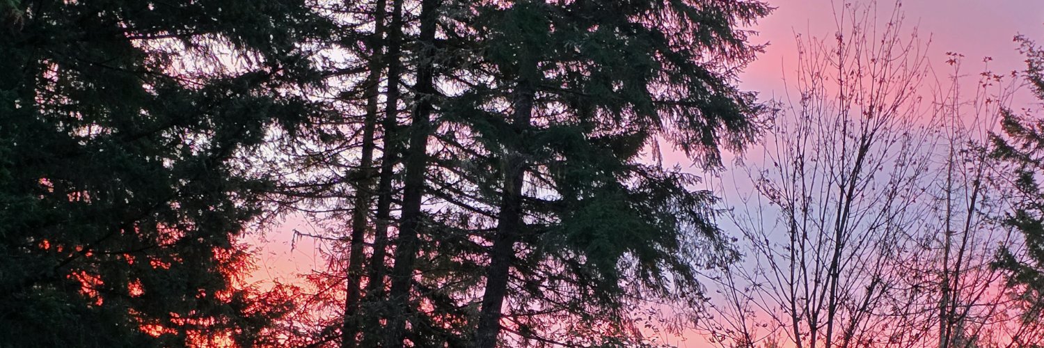 LoveTheNW's profile banner image