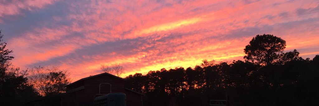 carmenwheelus's profile banner image