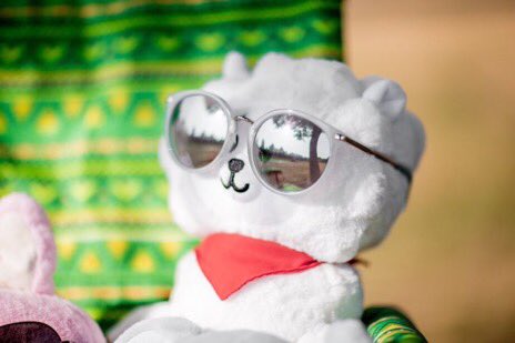 Loudpotatoes's profile banner image