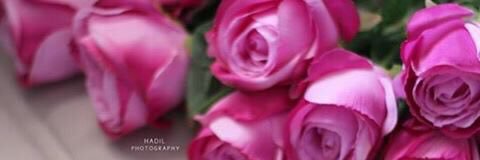waves66587201's profile banner image