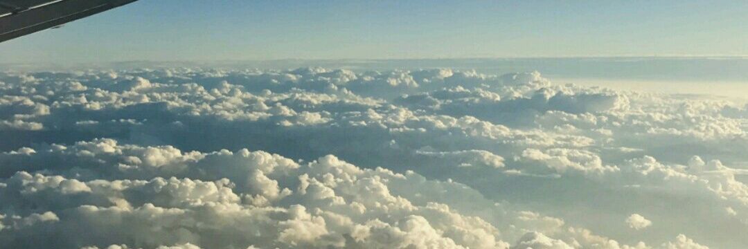 Noe_Thompson's profile banner image