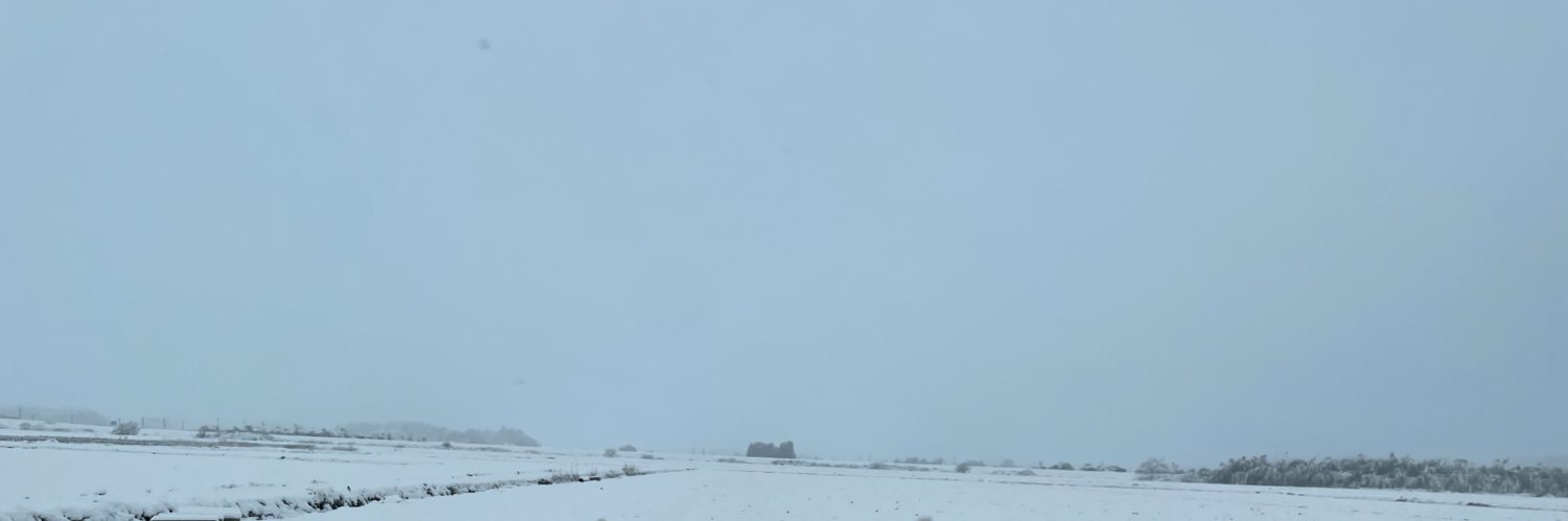 jz3350's profile banner image