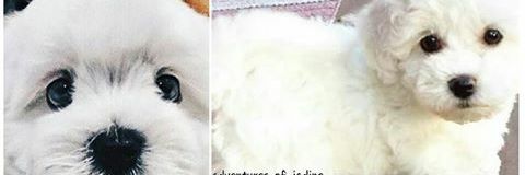 superclarky_boy's profile banner image