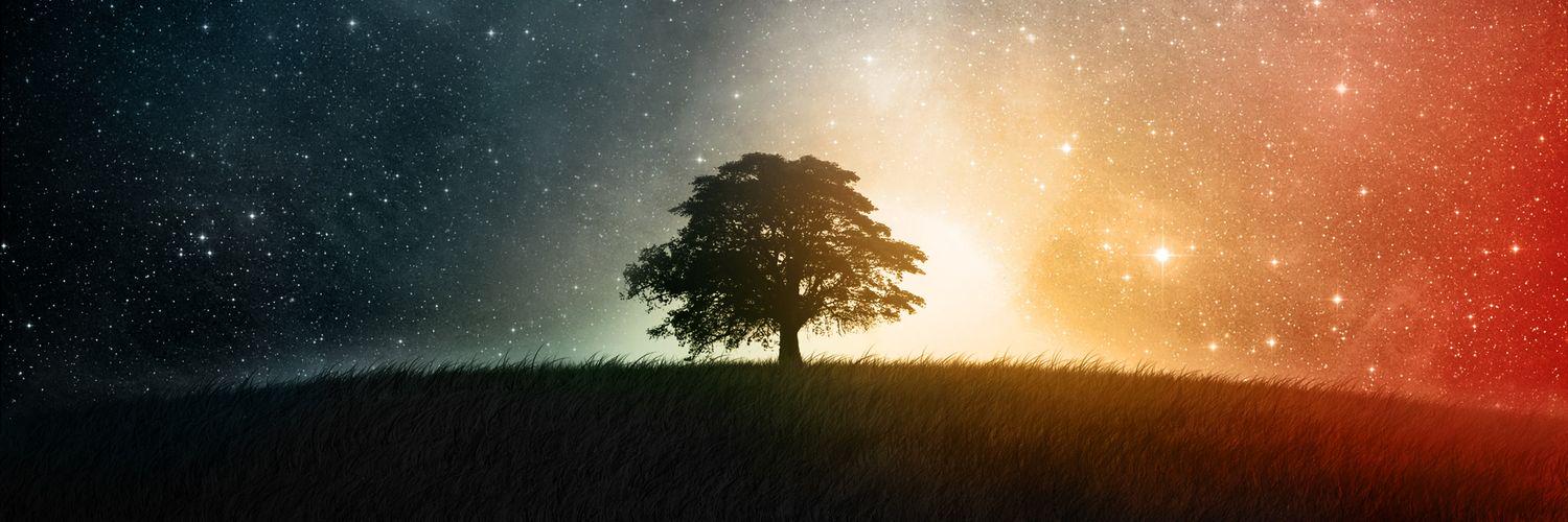 FirebeardJake's profile banner image