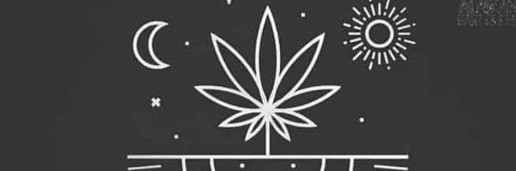 RVFI00's profile banner image