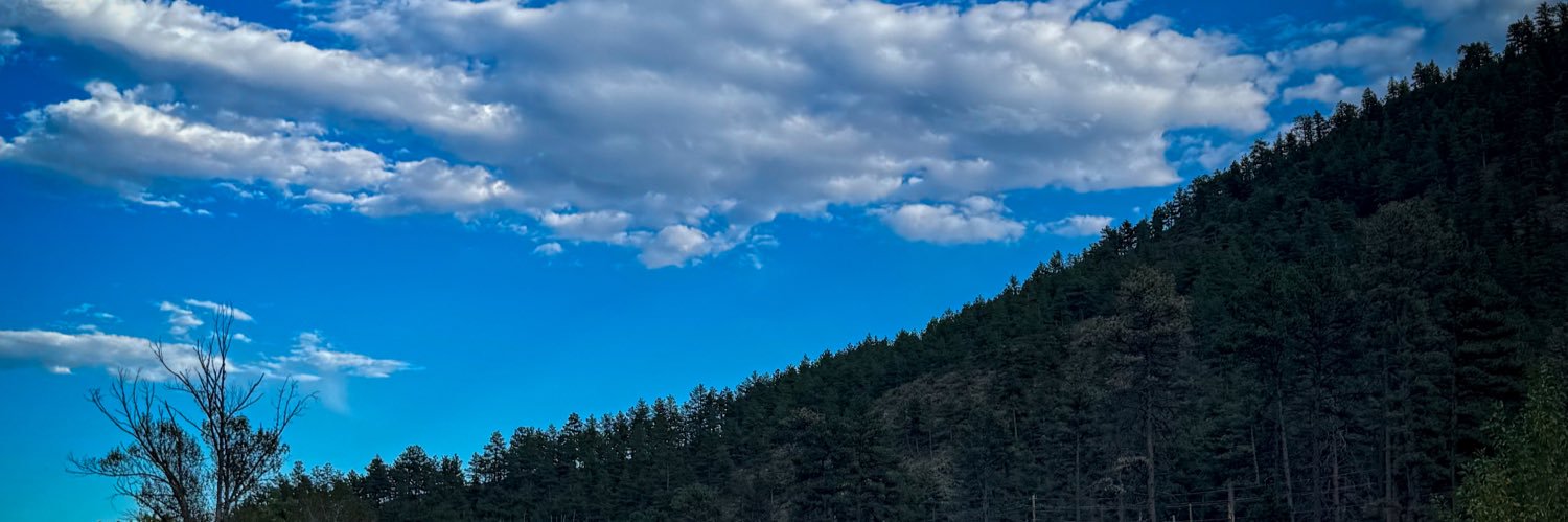 shaarella's profile banner image
