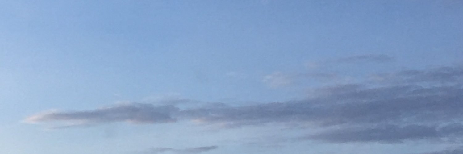 pii 🍉 banner