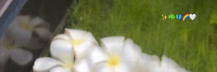 cataleyya24's profile banner image