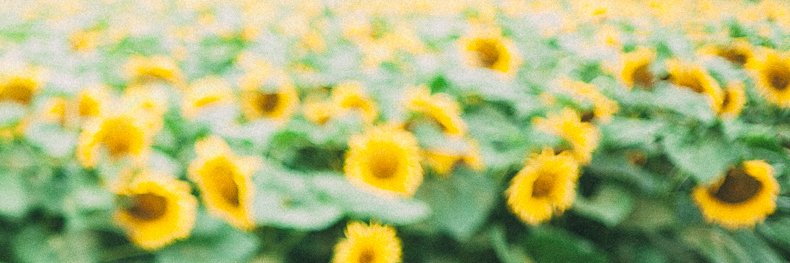 agro5d's profile banner image