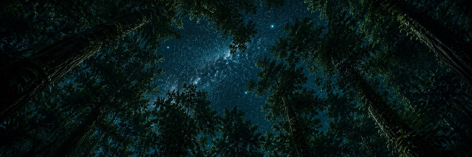 ForestMind5's profile banner image