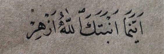 Dr Fahad Khalid Almowallad banner