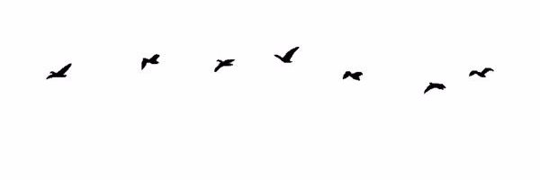 DorianaMC's profile banner image