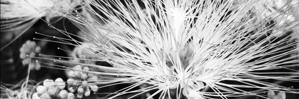 worryrock182's profile banner image