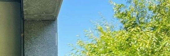 イェリン banner