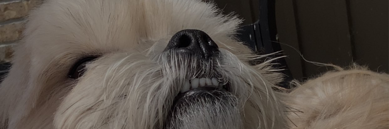 mykelle1's profile banner image