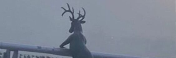Vex_James's profile banner image