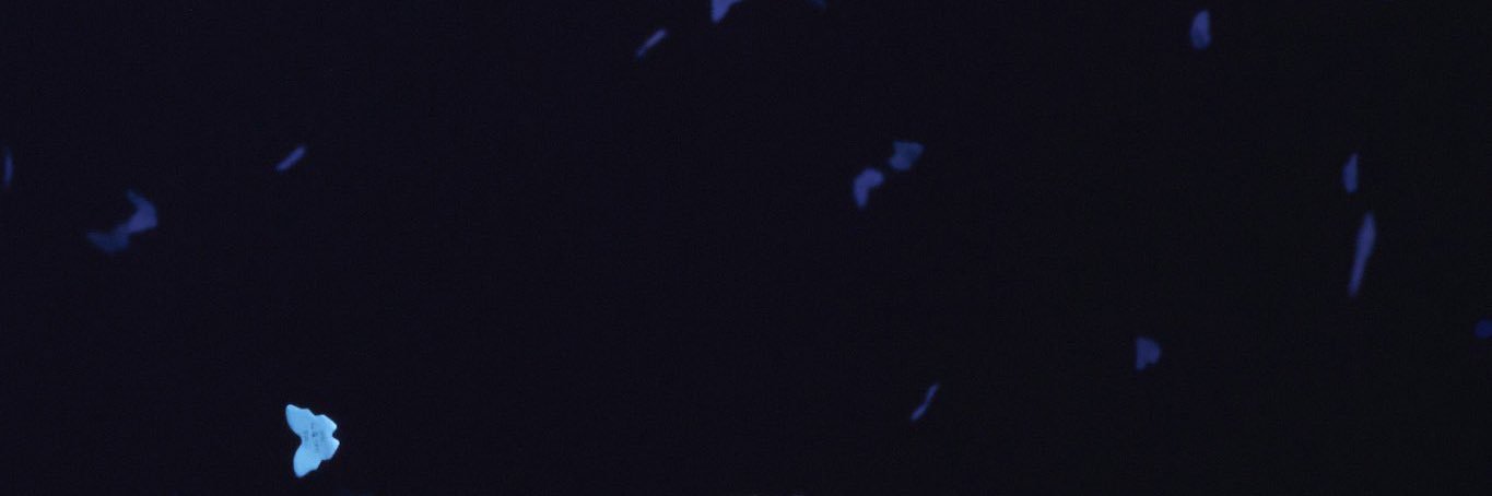Sprklzdk's profile banner image