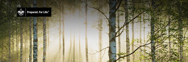 JSTE143's profile banner image