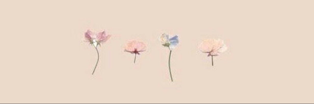 iriartenicole's profile banner image