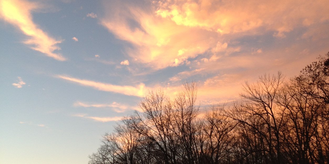lewpell9's profile banner image