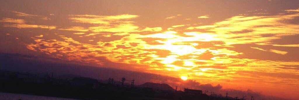 o33006627's profile banner image