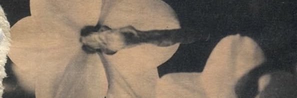ddeborahvm's profile banner image
