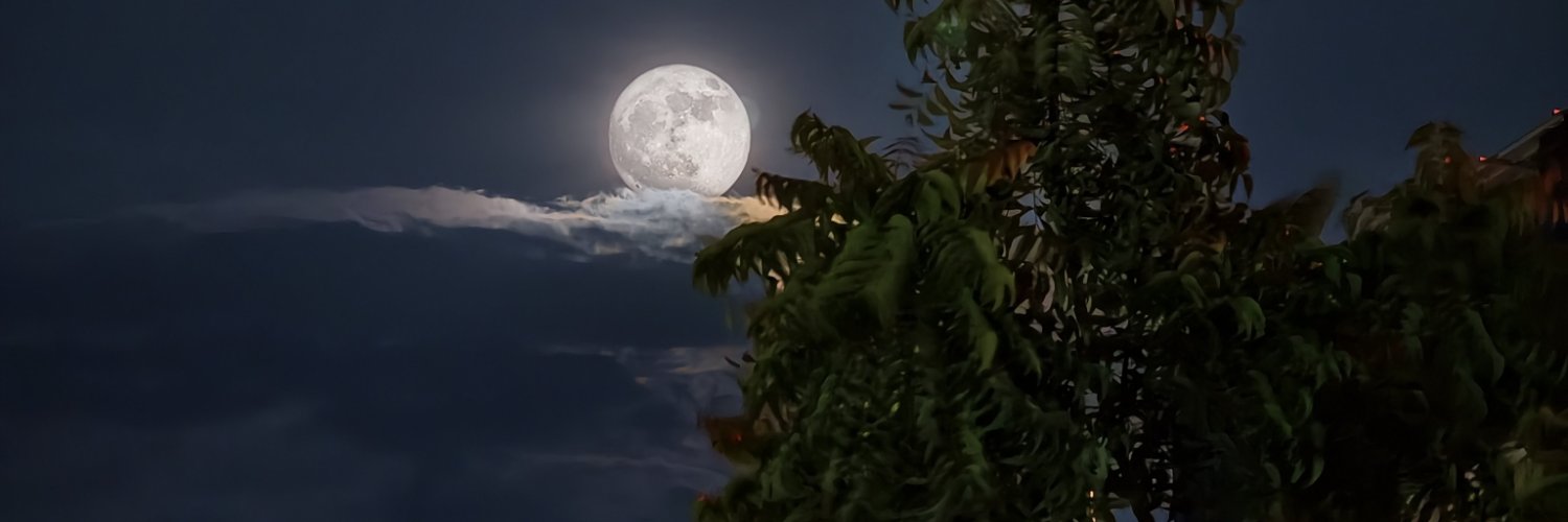 sonunigamhere's profile banner image