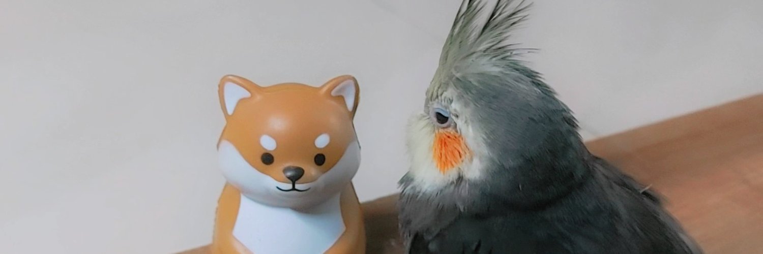 N3C094's profile banner image