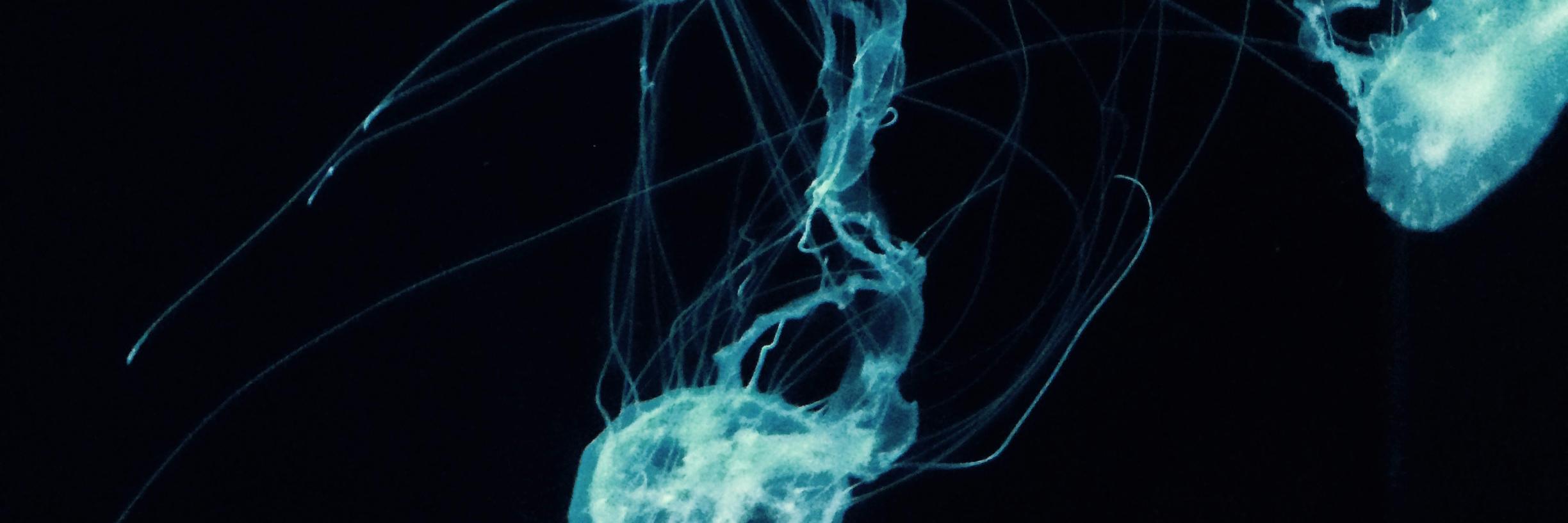 frombeyond1's profile banner image
