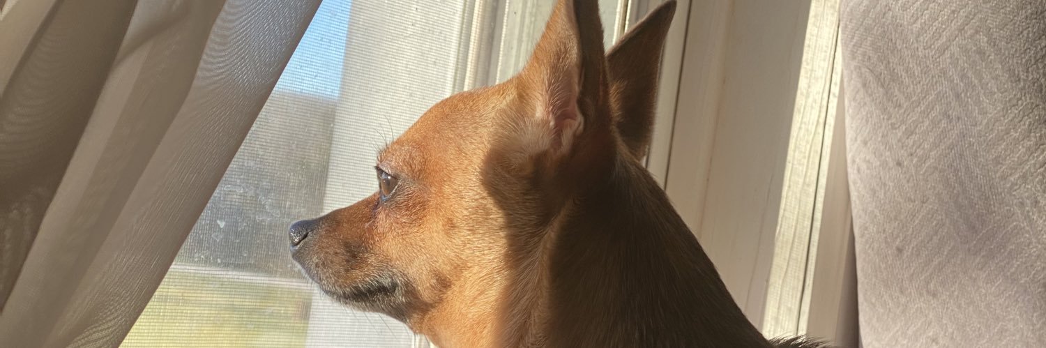 sicklyepic's profile banner image