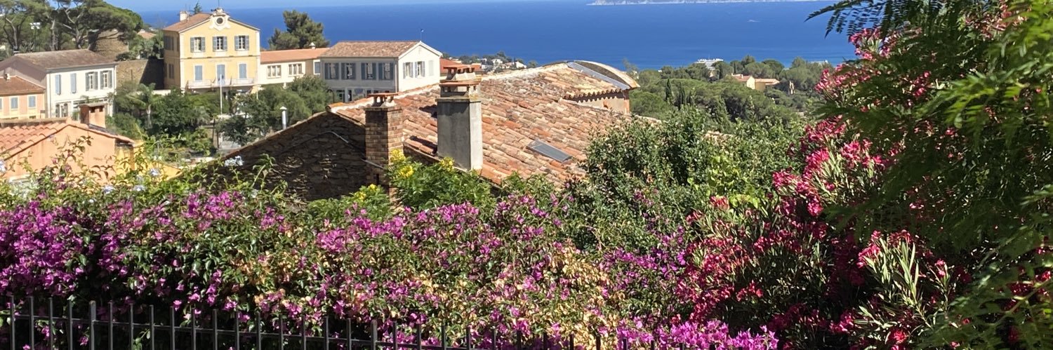 Miss Siegel GR2 banner