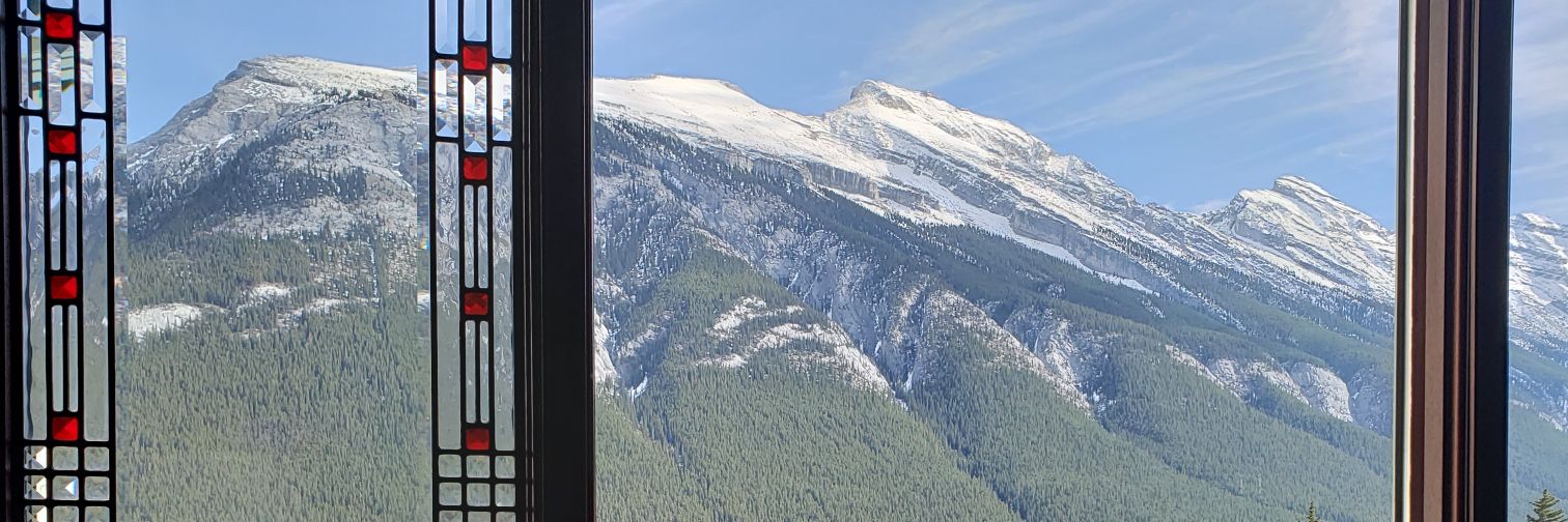 catbirdsuite's profile banner image