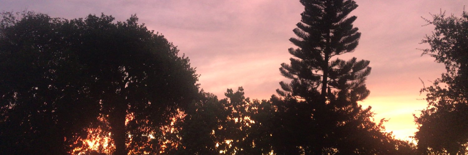 track_134340's profile banner image