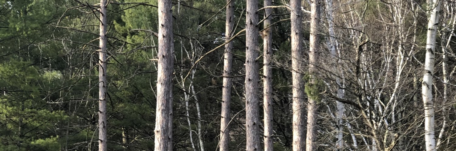 aleppopeppr's profile banner image
