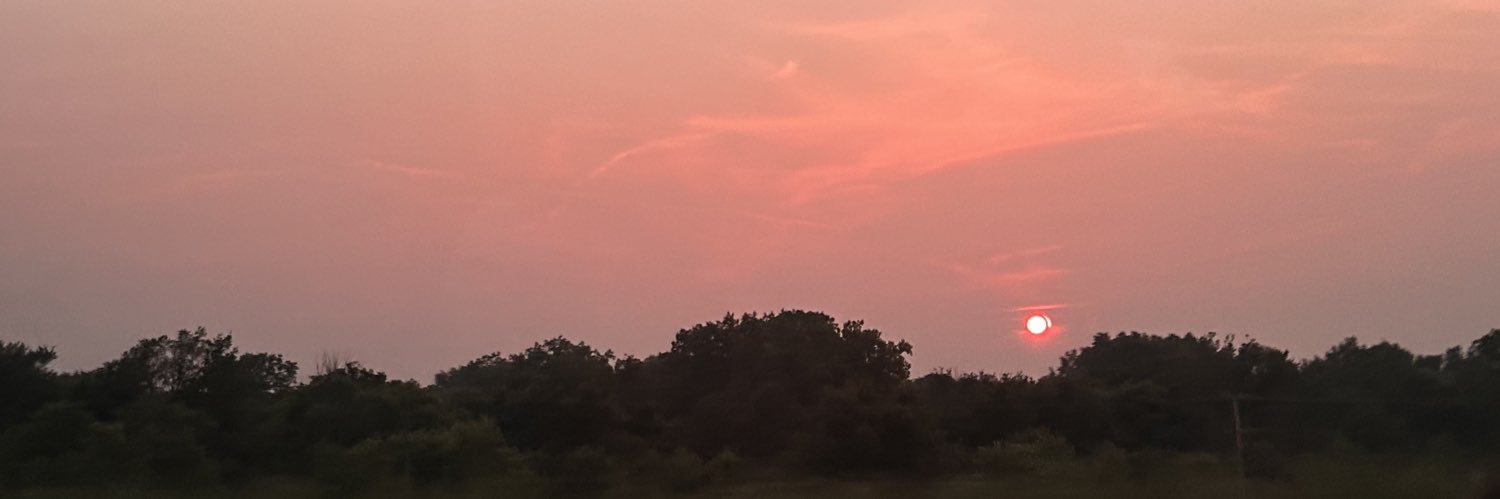 Sussieponce's profile banner image
