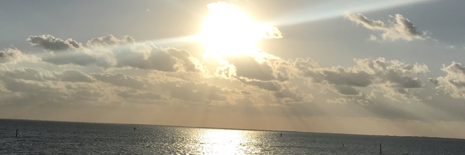 Deven Newcomb banner