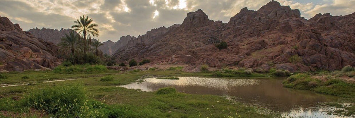 بدر الشمري banner