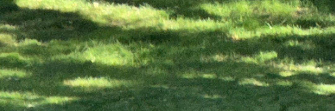wmellowyelloww's profile banner image