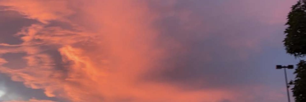 AlliZundel's profile banner image